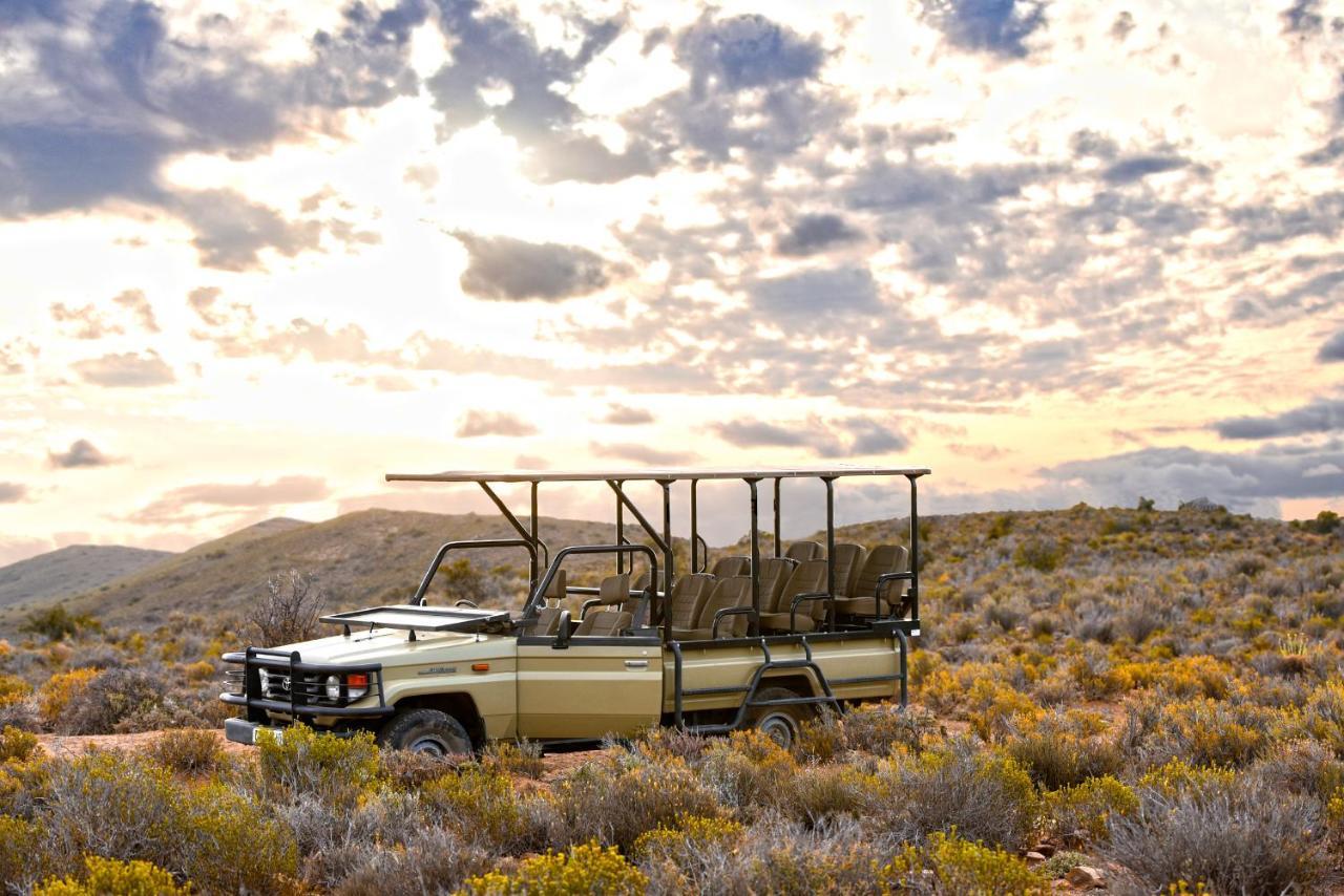 Mont Eco Game Reserve Montagu Eksteriør bilde
