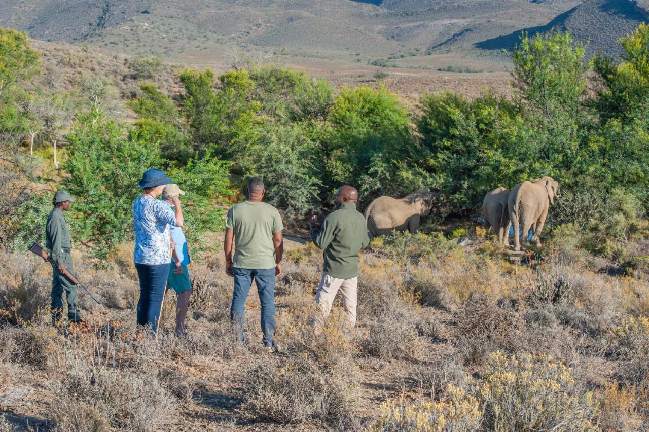 Mont Eco Game Reserve Montagu Eksteriør bilde