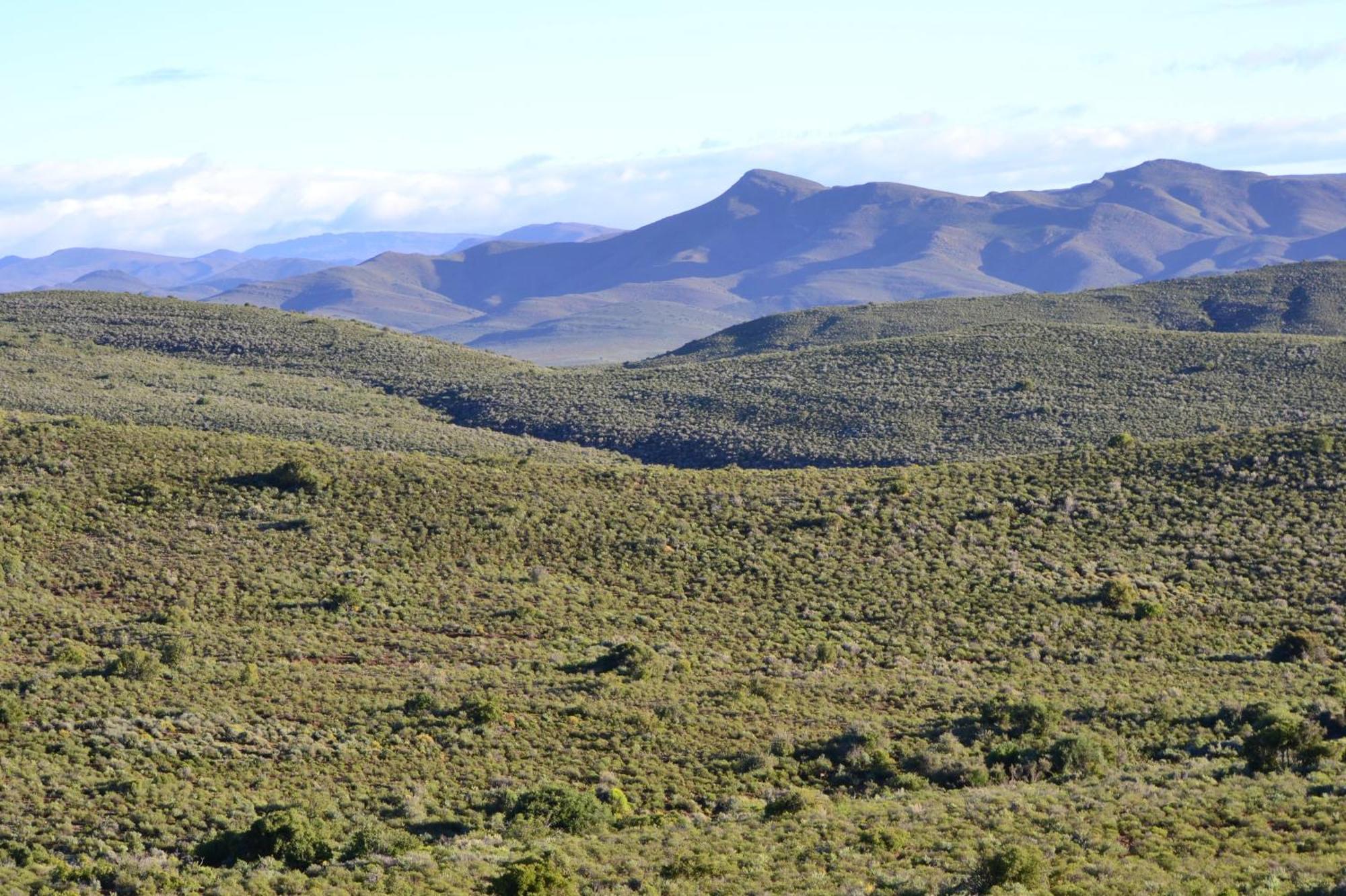 Mont Eco Game Reserve Montagu Eksteriør bilde